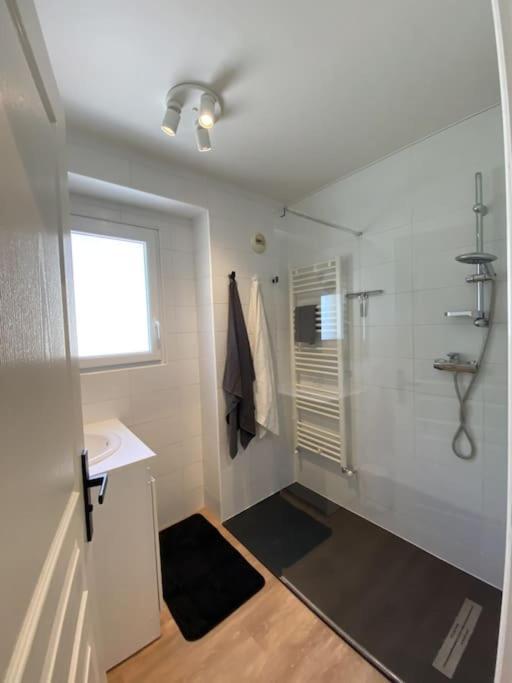 Magnifique Appart Renove Evian Duplex Vue Lac 8 Pers Екстер'єр фото
